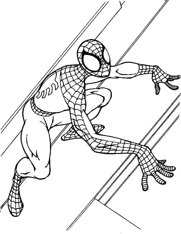 Dibujo de Descargar Gratis el Hombre araña para Colorear