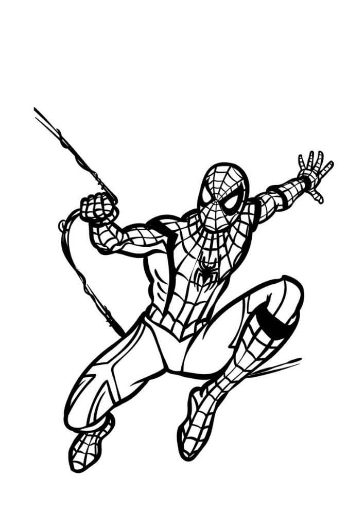 Dibujo de Básico del Hombre araña para Colorear