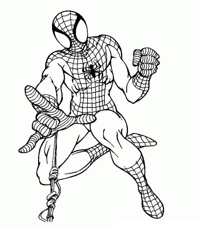 Dibujo de Simple del Hombre araña para Colorear