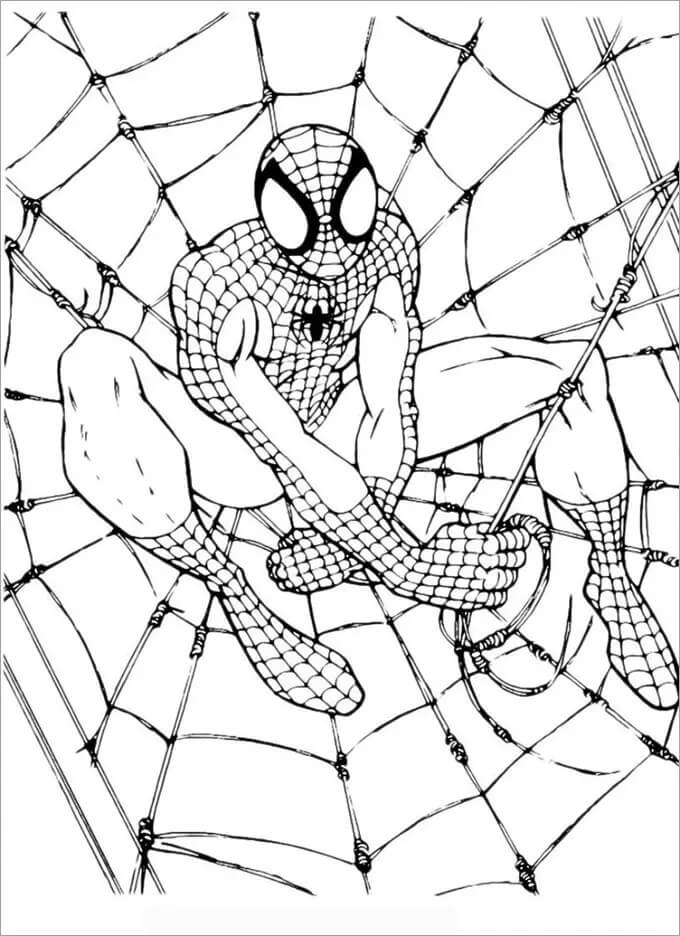 Dibujo de Foto Gratis de el Hombre araña para Colorear