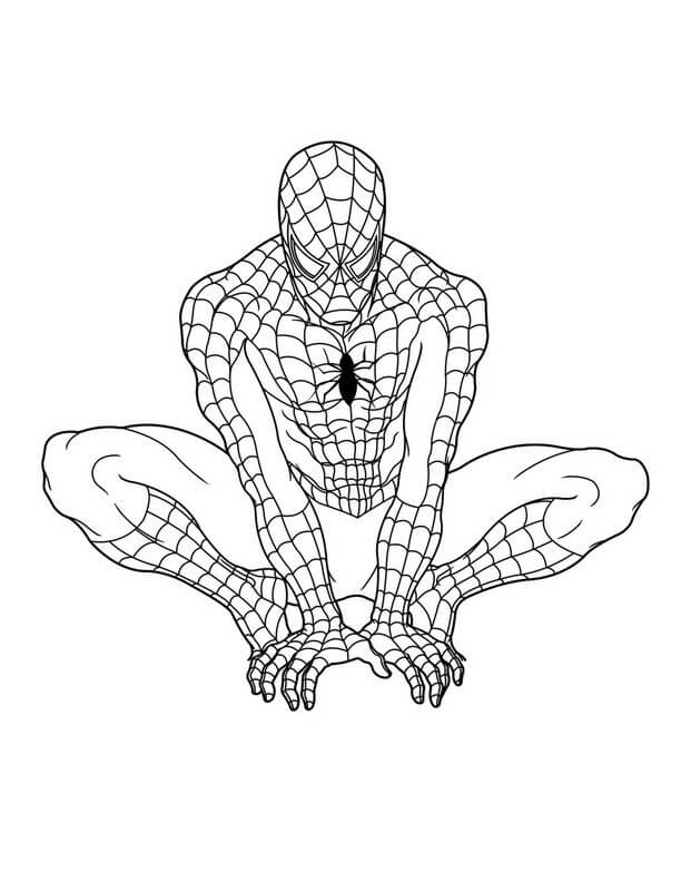 Dibujo de Gráficos Gratis del Hombre araña para Colorear