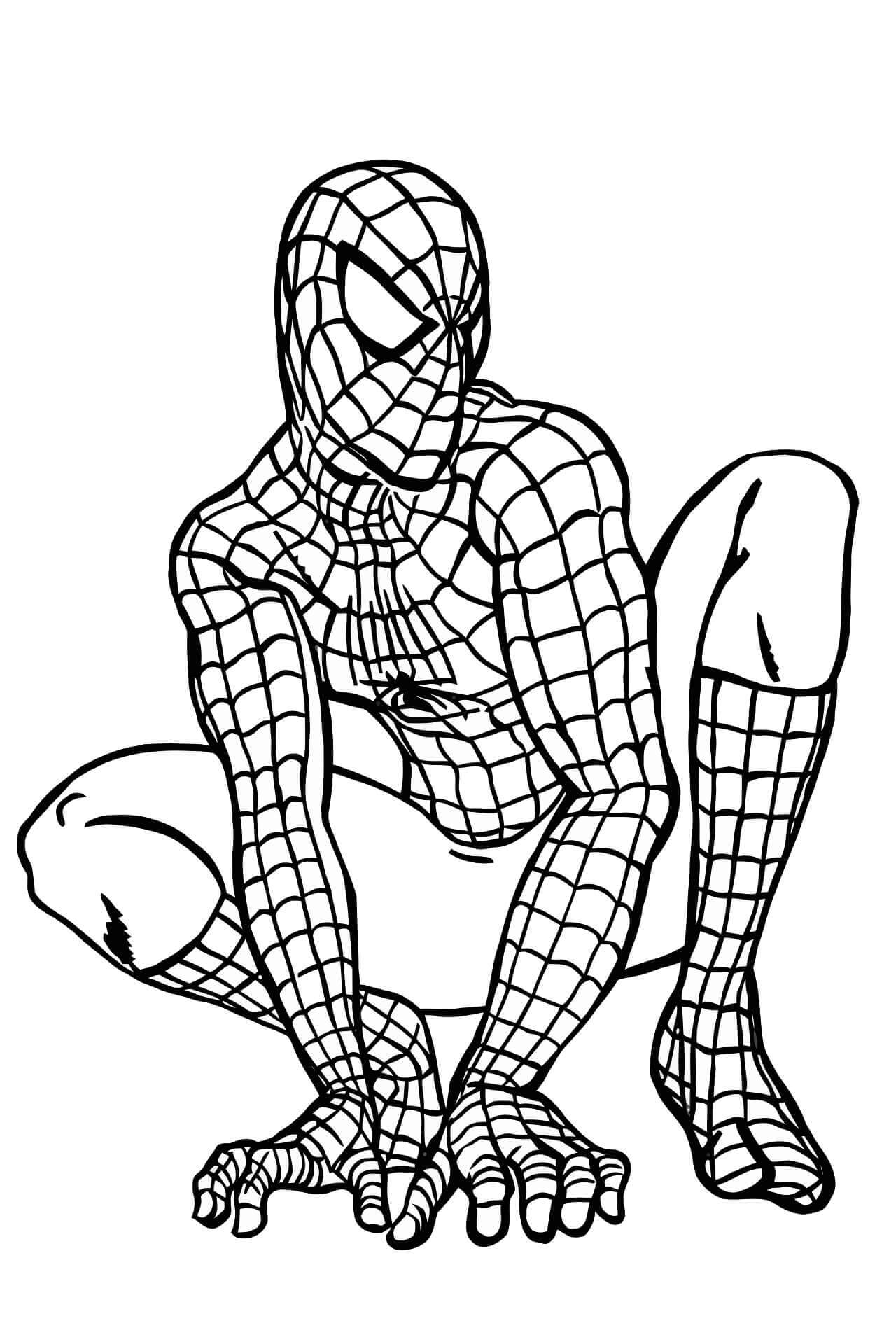 Dibujo de Gran Hombre araña para Colorear