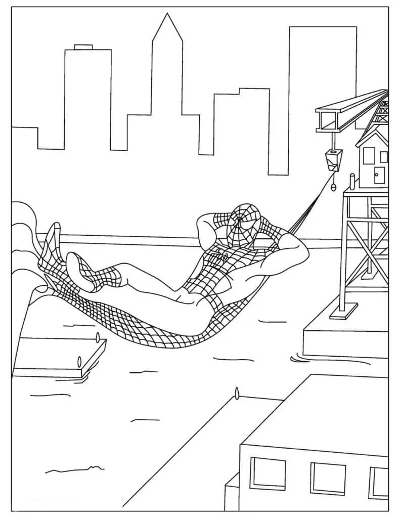 Dibujo de Hombre araña Acostado en una Hamaca para Colorear