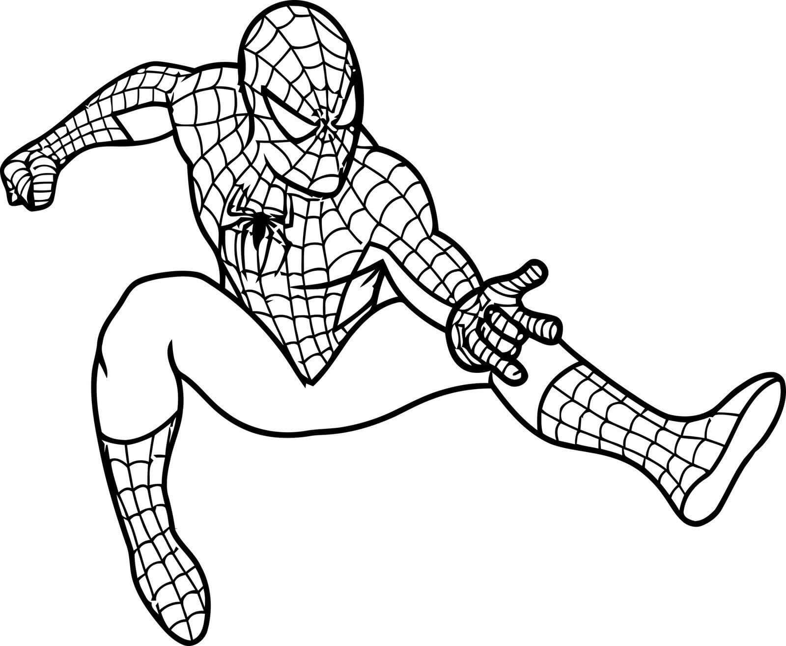 Dibujo de Hombre araña Gratis para Colorear