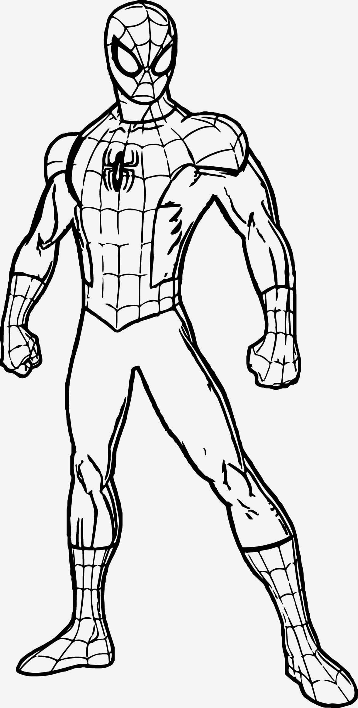 Dibujo de Hombre araña Normal para Colorear