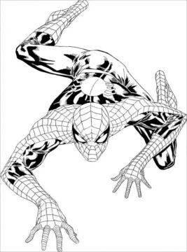 Dibujo de Simpatico Hombre araña Escalada para Colorear