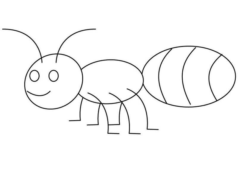 Dibujo de Buena Hormiga para Colorear