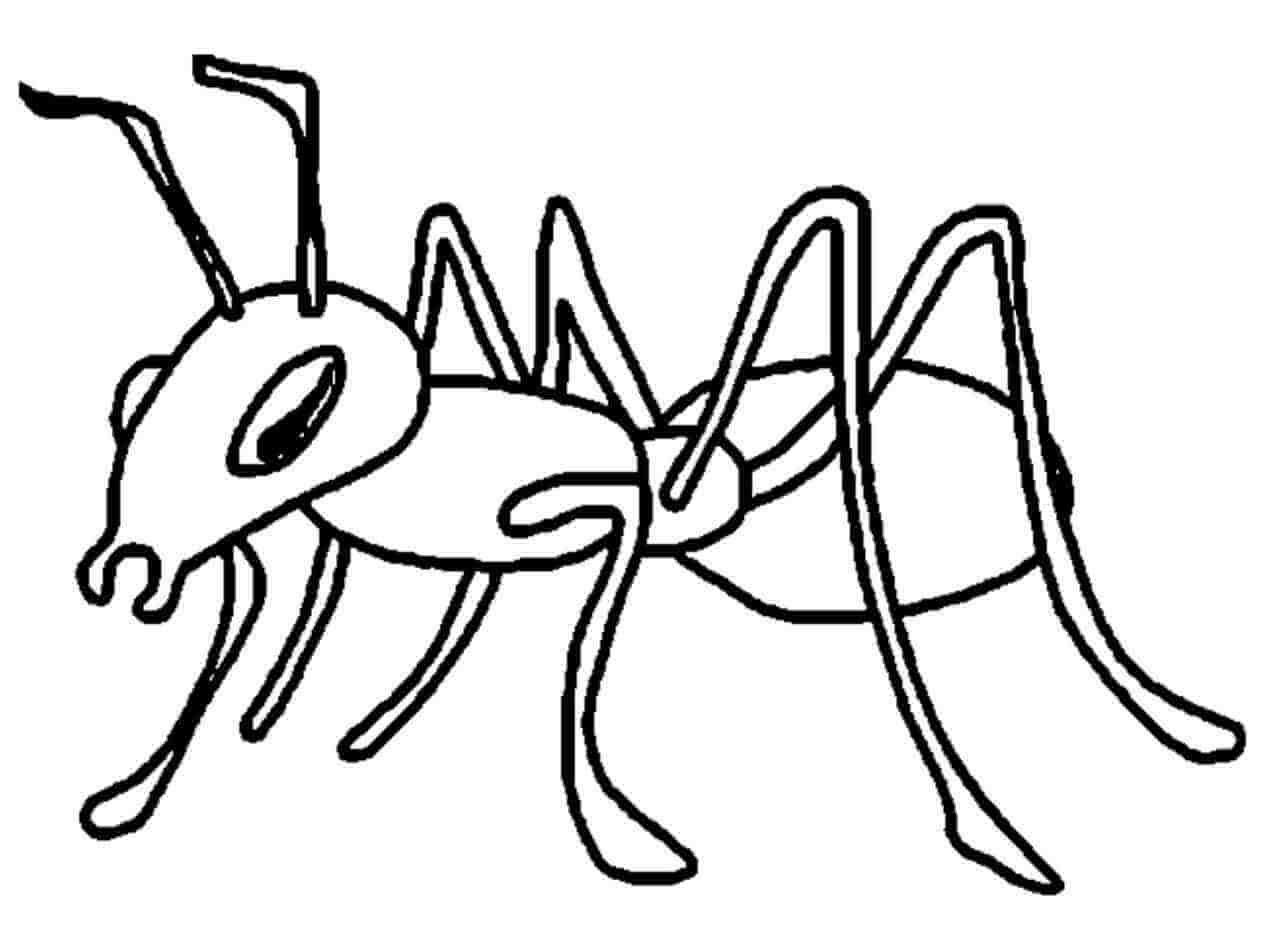 Dibujo de Dibujar a Mano Hormiga para Colorear
