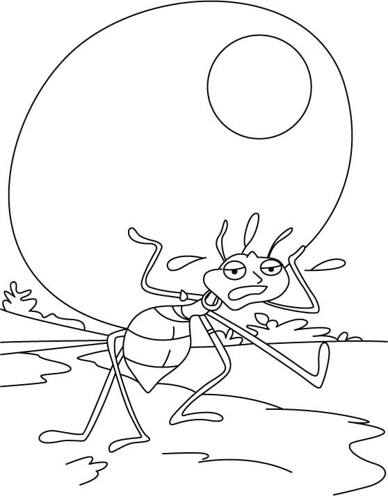 Dibujo de Fotos Gratis de Hormigas para Colorear