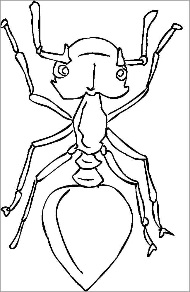 Dibujo de Hormiga Adorable para Colorear