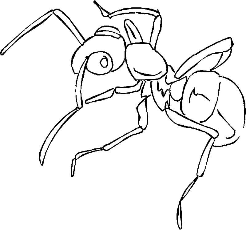 Dibujo de Hormiga Agradable para Colorear