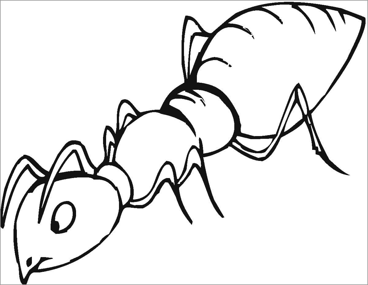 Dibujo de Hormiga Asombrosa para Colorear