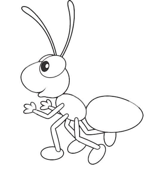 Dibujo de Hormiga básica para Colorear