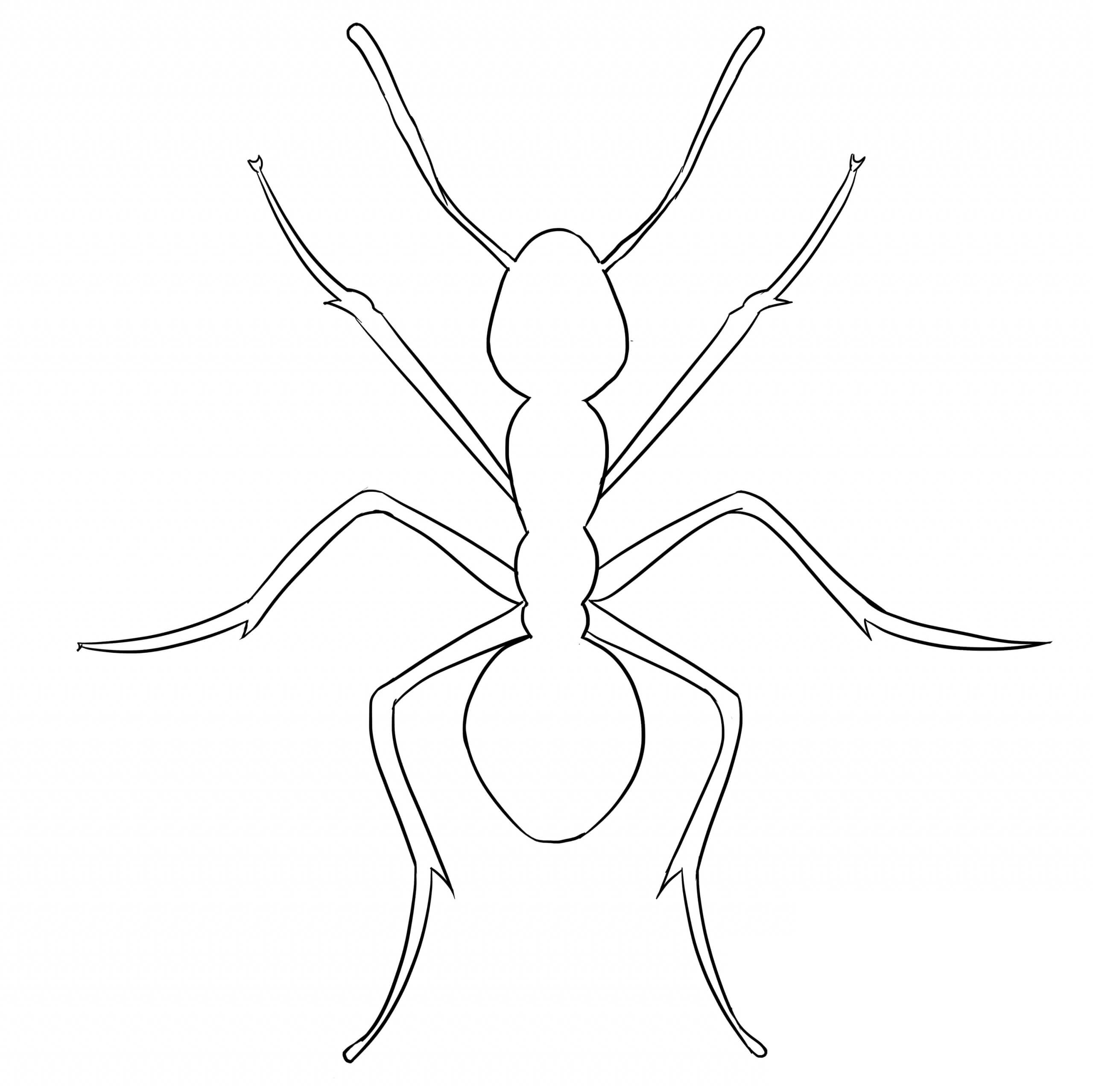 Dibujo de Hormiga fácil para Colorear