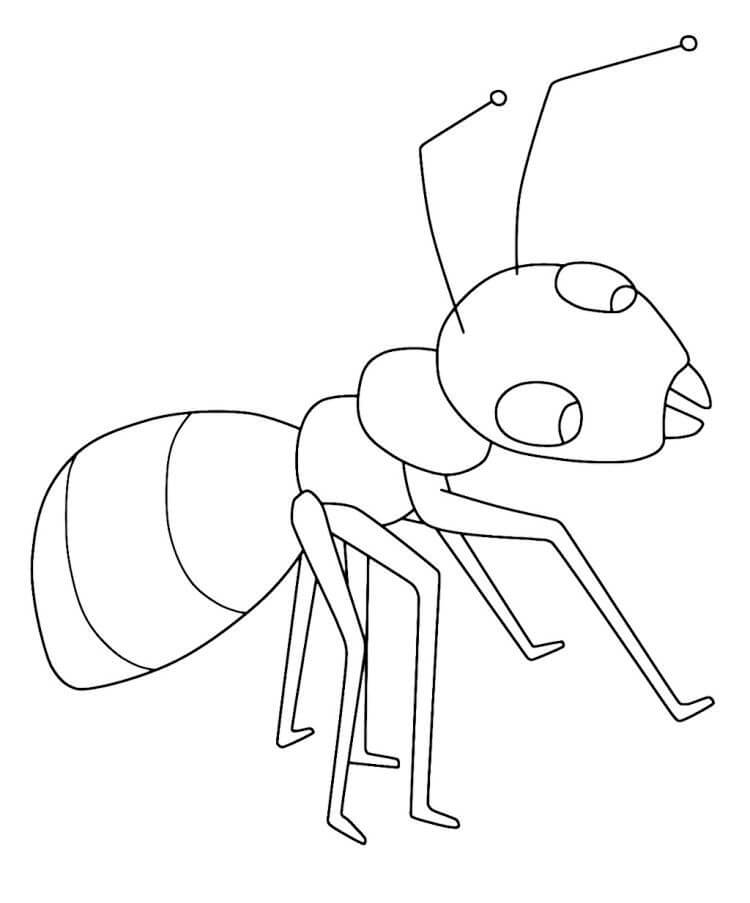Dibujo de Hormiga Libre para Colorear