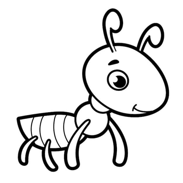 Dibujo de Hormiga Normal para Colorear
