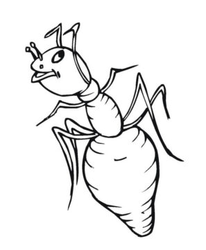 Dibujo de Idea Libre de Hormigas para Colorear