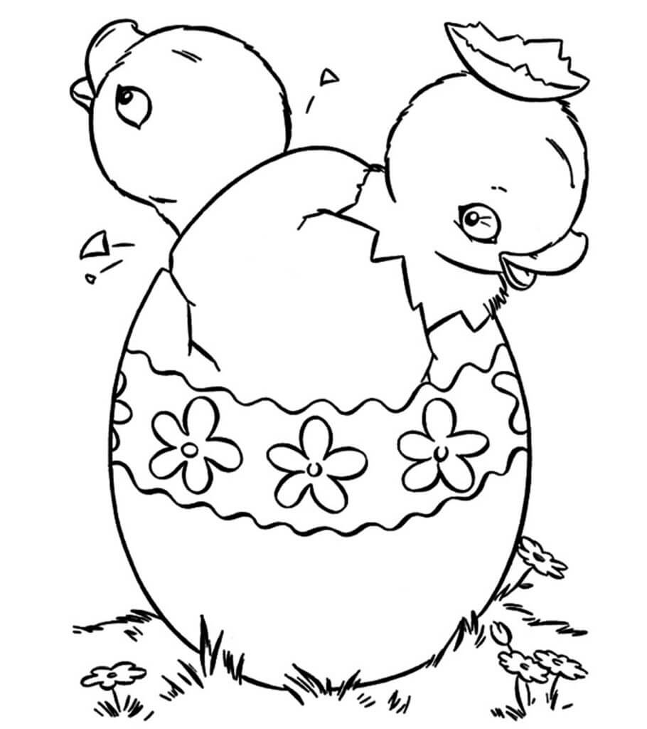 Dibujo de Dos Pollitos en Huevo de Pascua Roto para Colorear