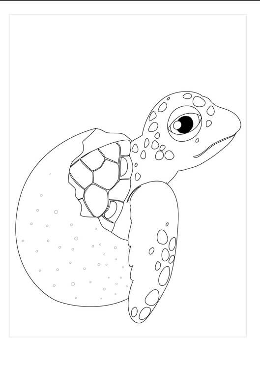 Dibujo de Tortuga en Huevo Roto para Colorear