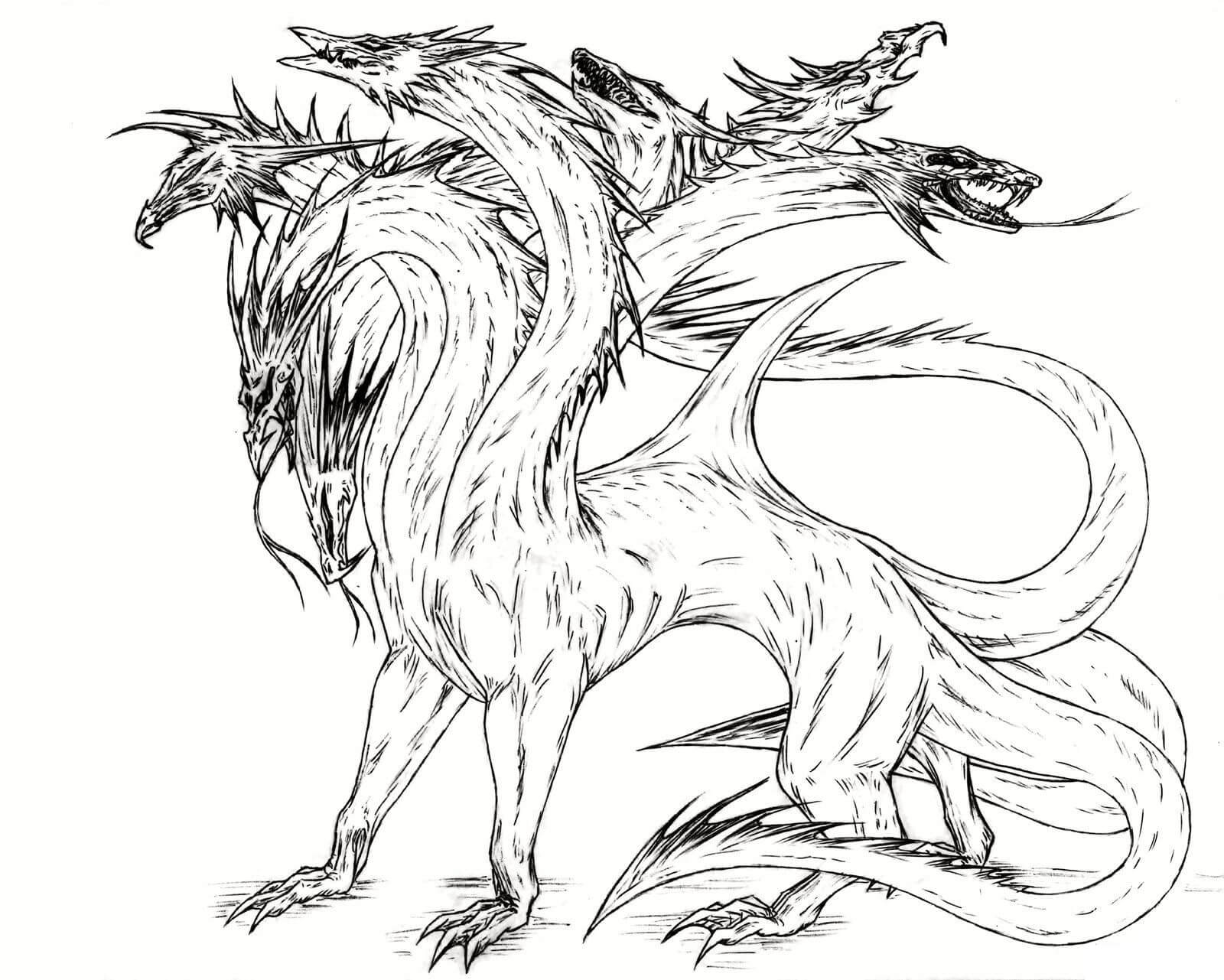 Dibujo de Hidra para Colorear