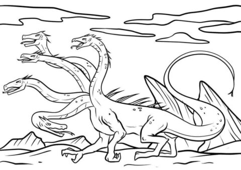 Dibujo de Hidra Simple para Colorear