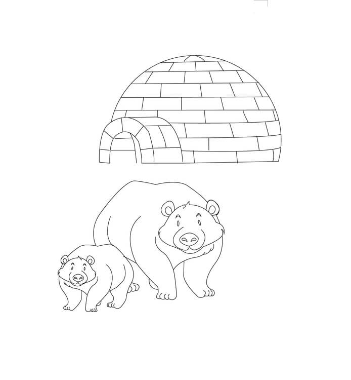 Dibujo de Dos Oso y Iglu para Colorear