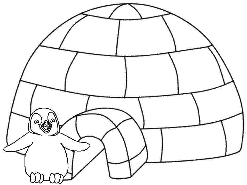Dibujo de Pingüino e Iglu para Colorear