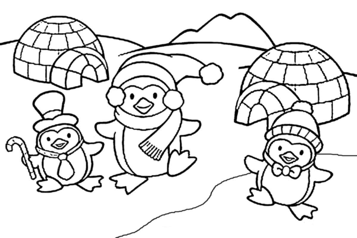 Dibujo de Tres pingüinos y Dos Iglus para Colorear