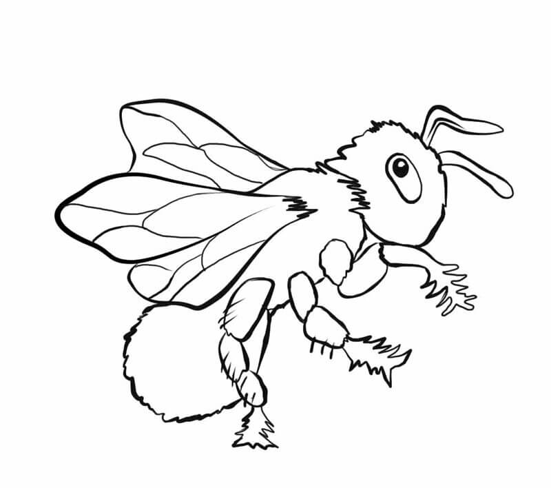 Dibujo de Abeja Fresca para Colorear