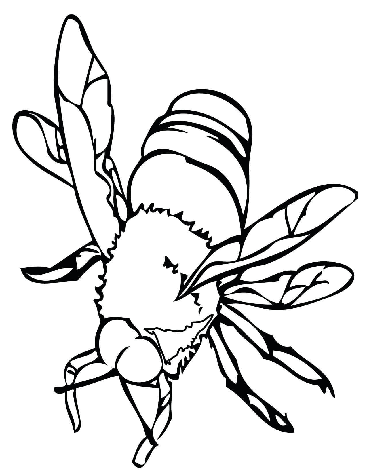 Dibujo de Abeja para Colorear
