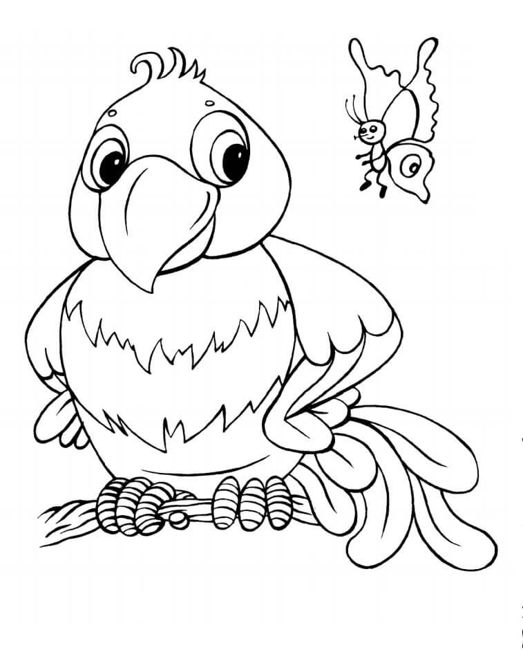 Dibujo de Caricatura Loro y Mariposa para Colorear