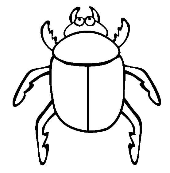 Dibujo de Escarabajos para Colorear