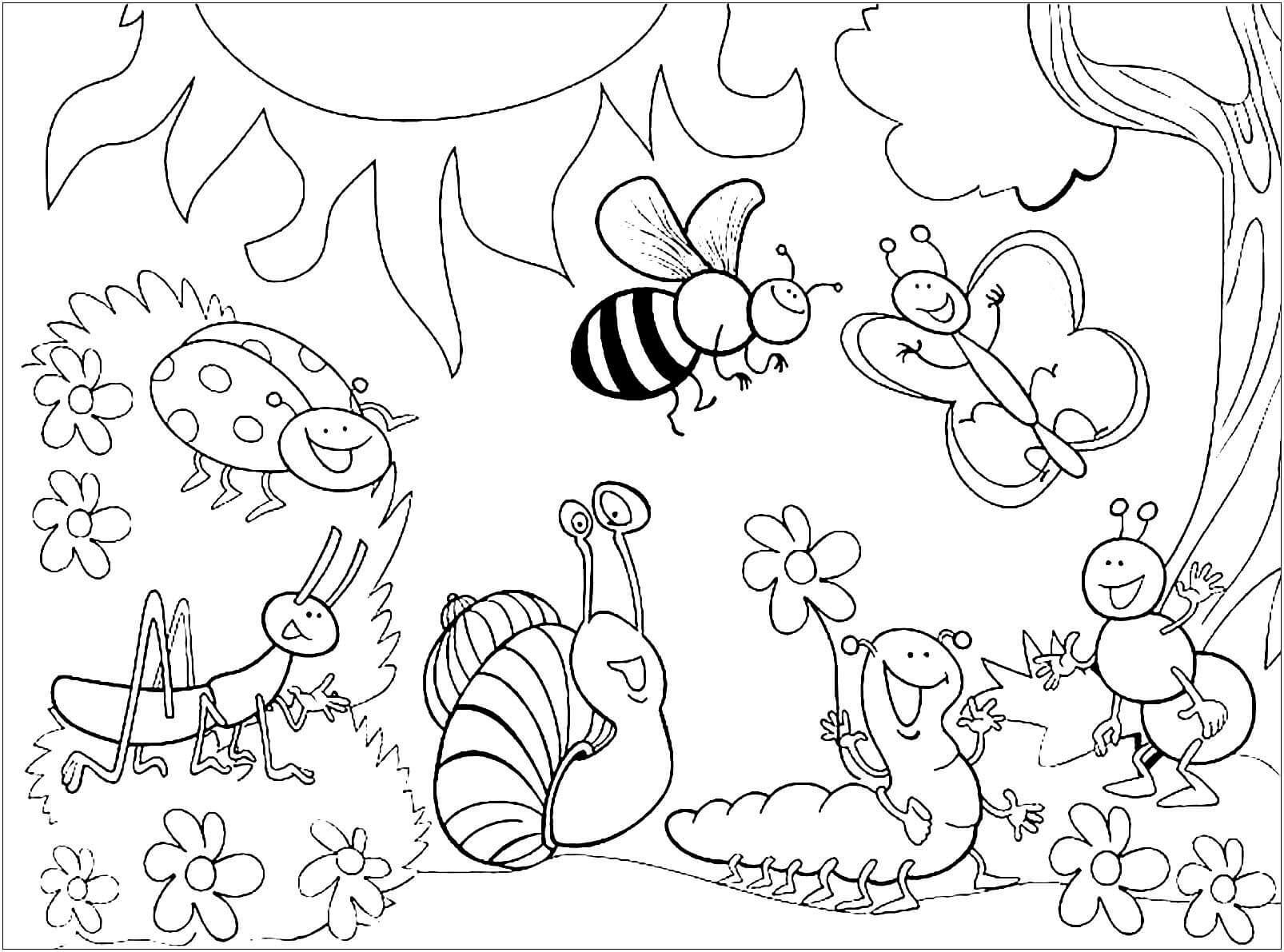 Dibujo de Insectos en la Jungla para Colorear