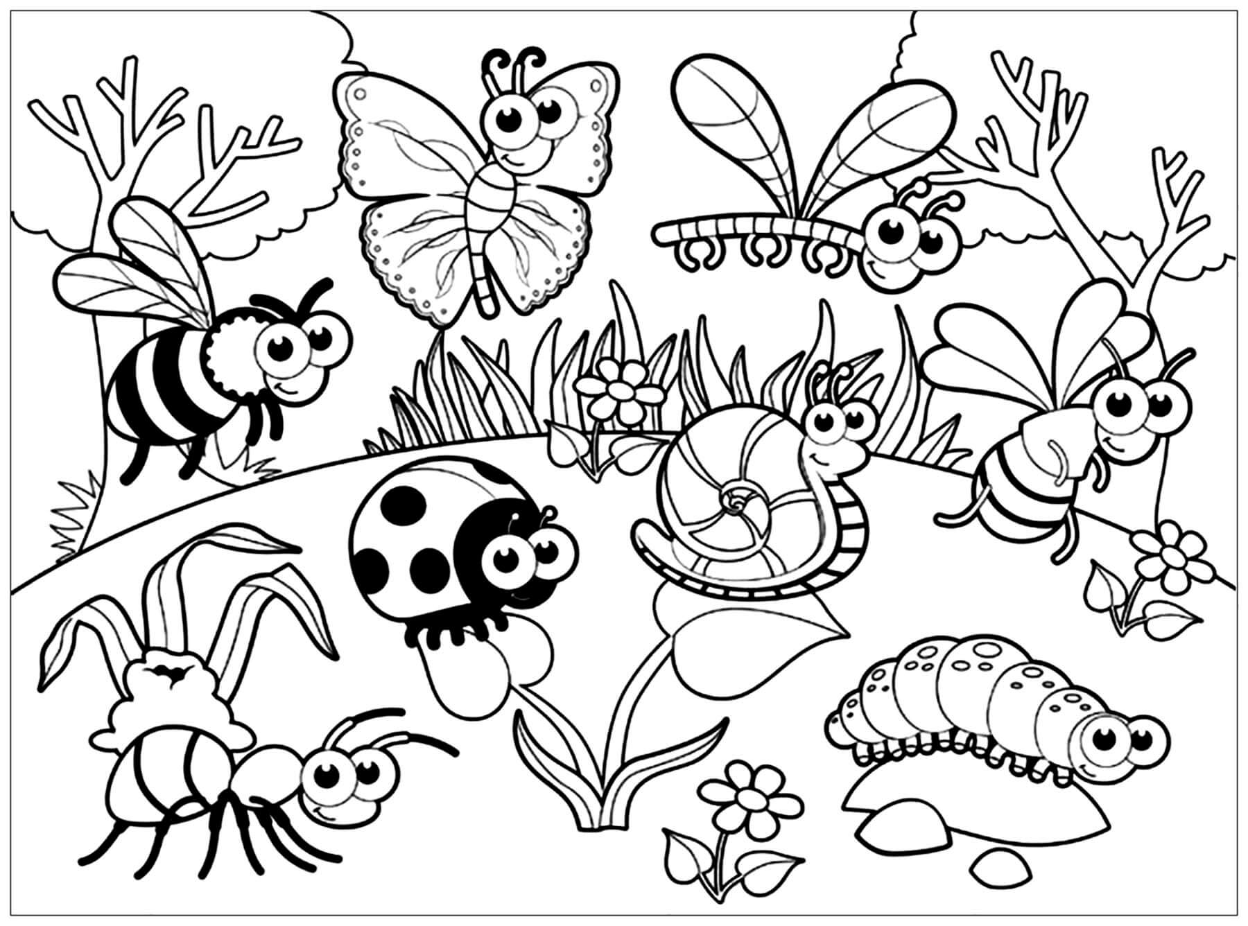 Dibujo de Insectos para Imprimir para Colorear