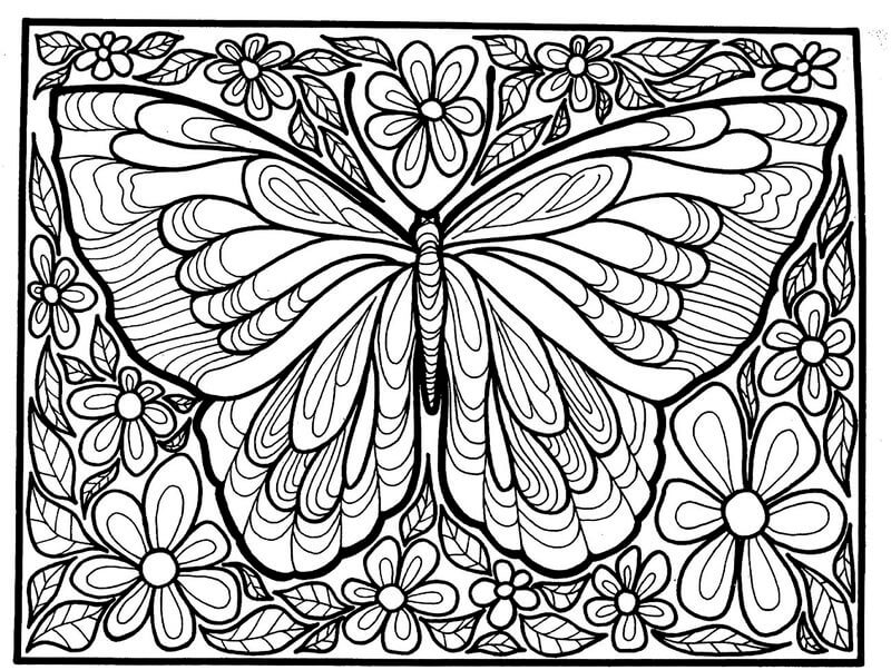 Dibujo de Mariposa en Hoja y Flor para Colorear