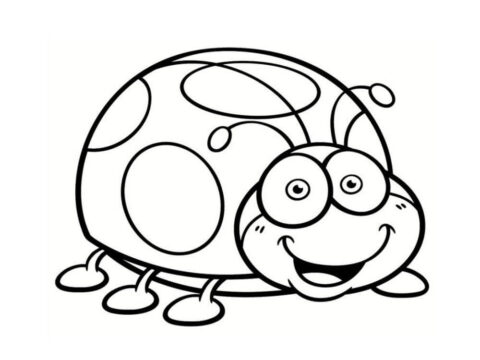 Dibujo de Mariquita Divertida para Colorear