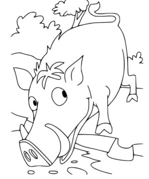 Dibujo de Tablero Salvaje Simple para Colorear