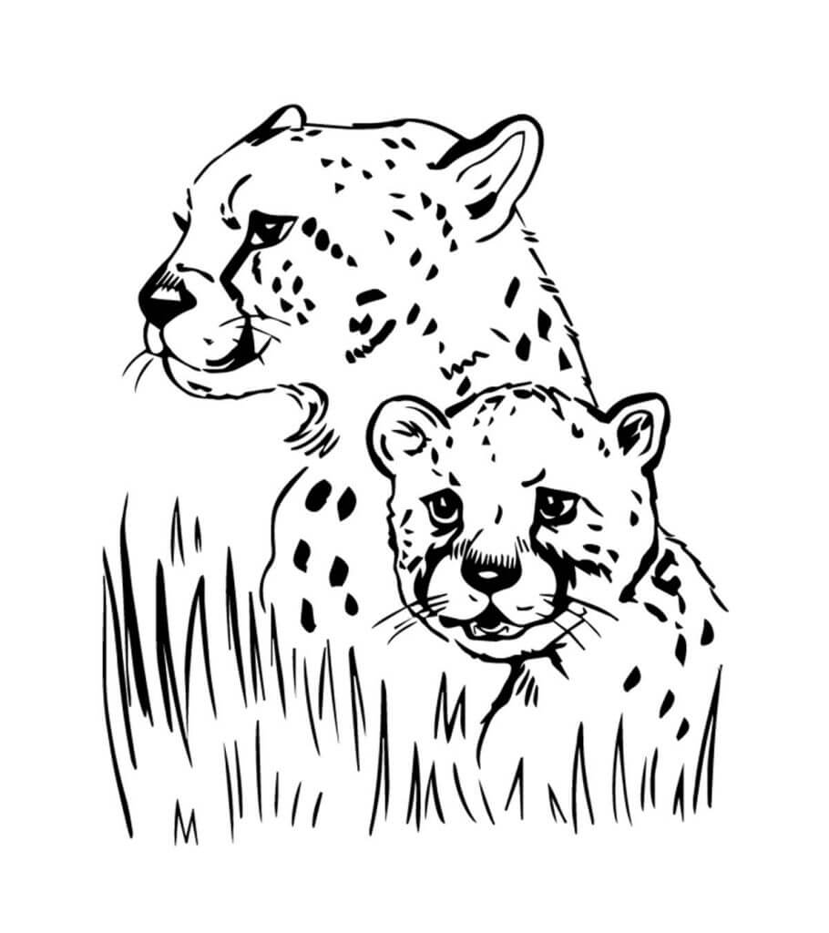 Dibujo de Dos Retratos de Jaguar para Colorear