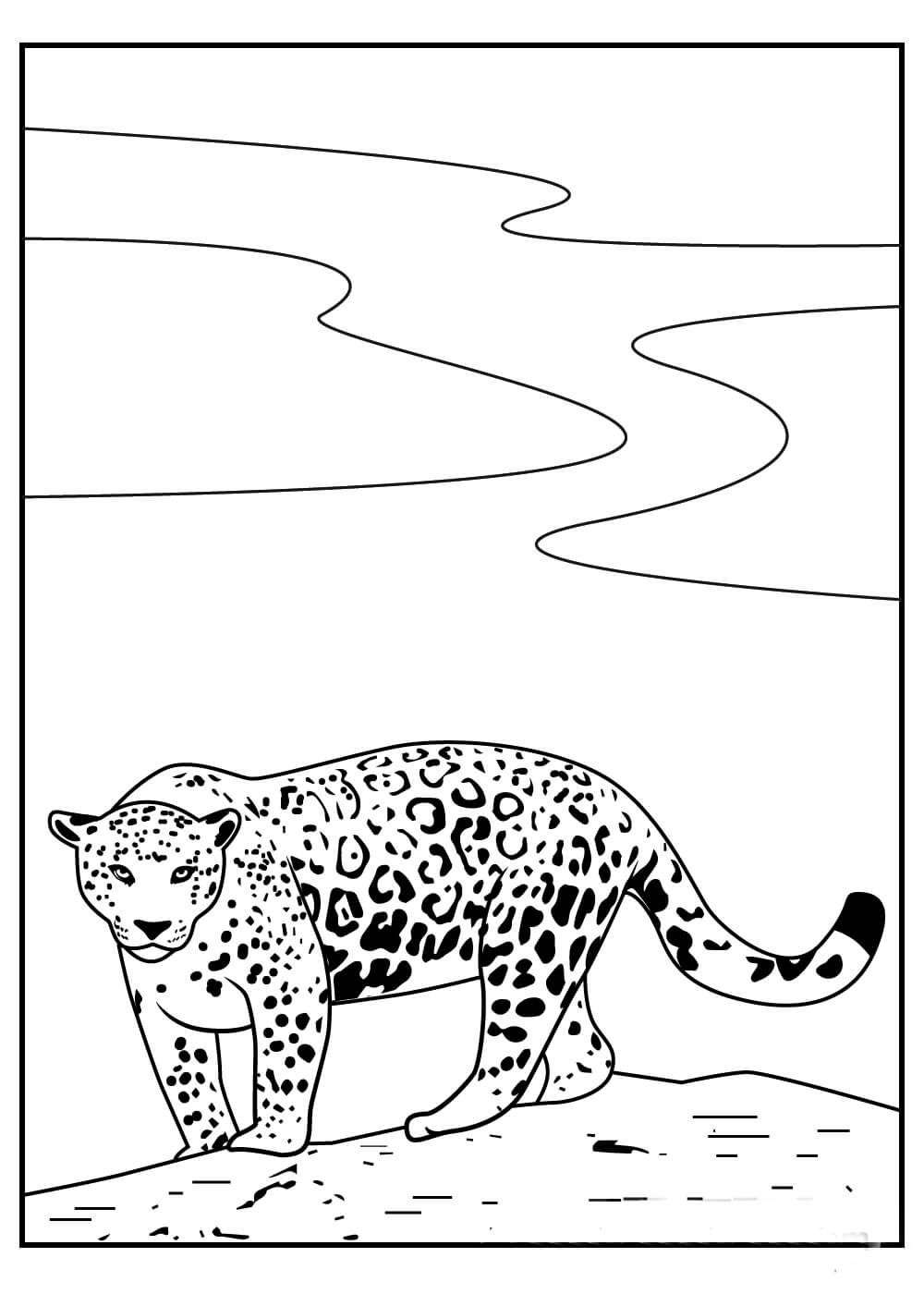 Dibujo de Jaguar Sencillo para Colorear