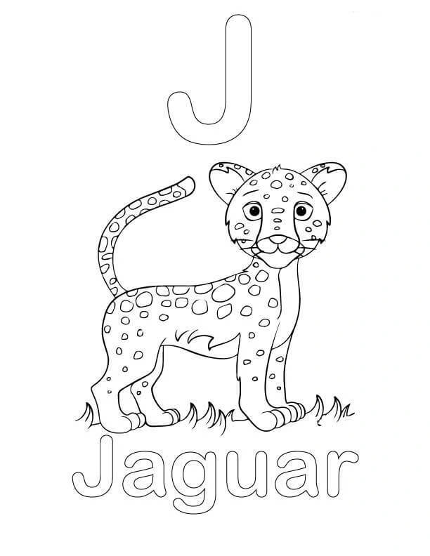 Dibujo de Letra J y Jaguar para Colorear