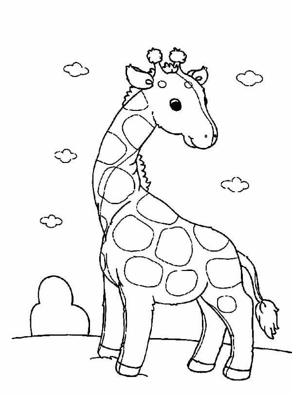 Dibujo de Bonita Jirafa para Colorear