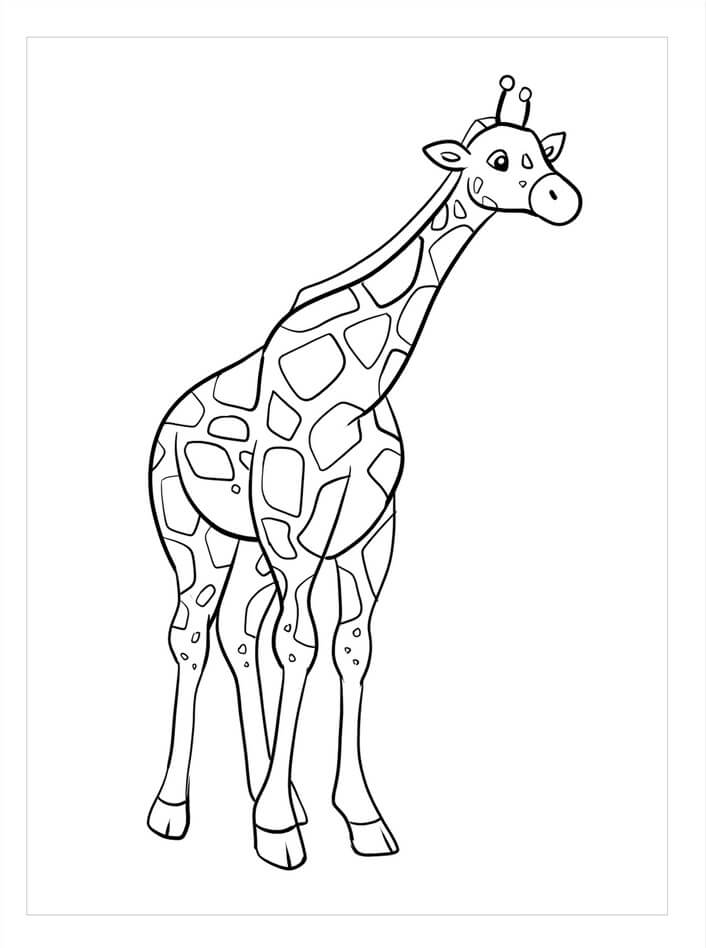 Dibujo de Hermosa Jirafa para Colorear