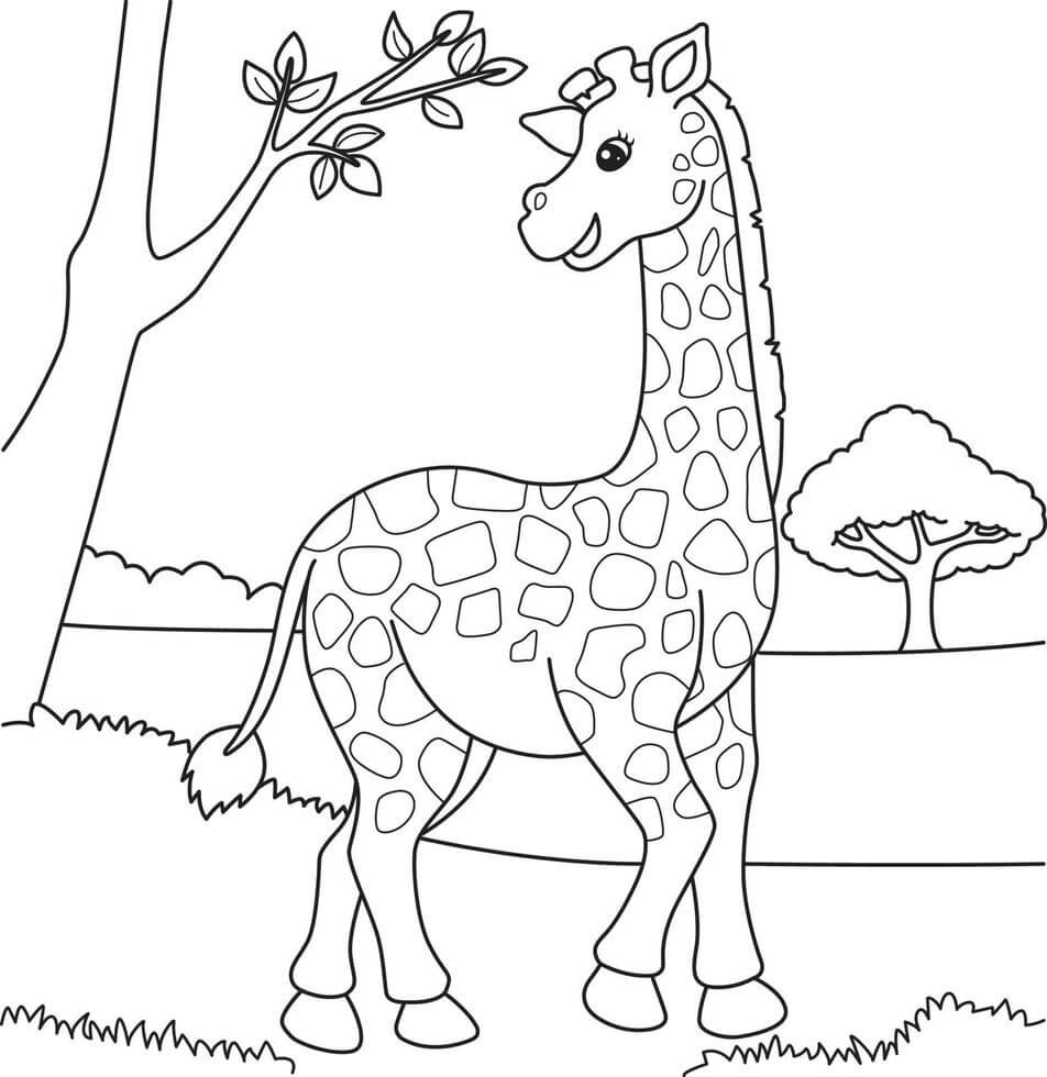 Dibujo de Jirafa imágenes Gratis para Colorear