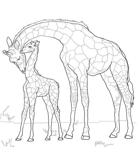 Dibujo de Jirafa Madre y bebé para Colorear