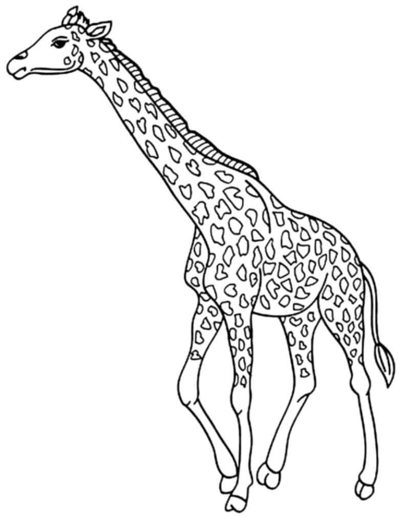 Dibujo de Jirafa Normal para Colorear