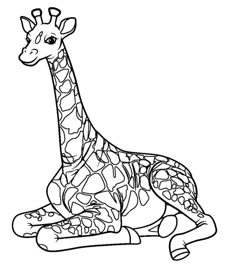 Dibujo de Jirafa Sentado para Colorear