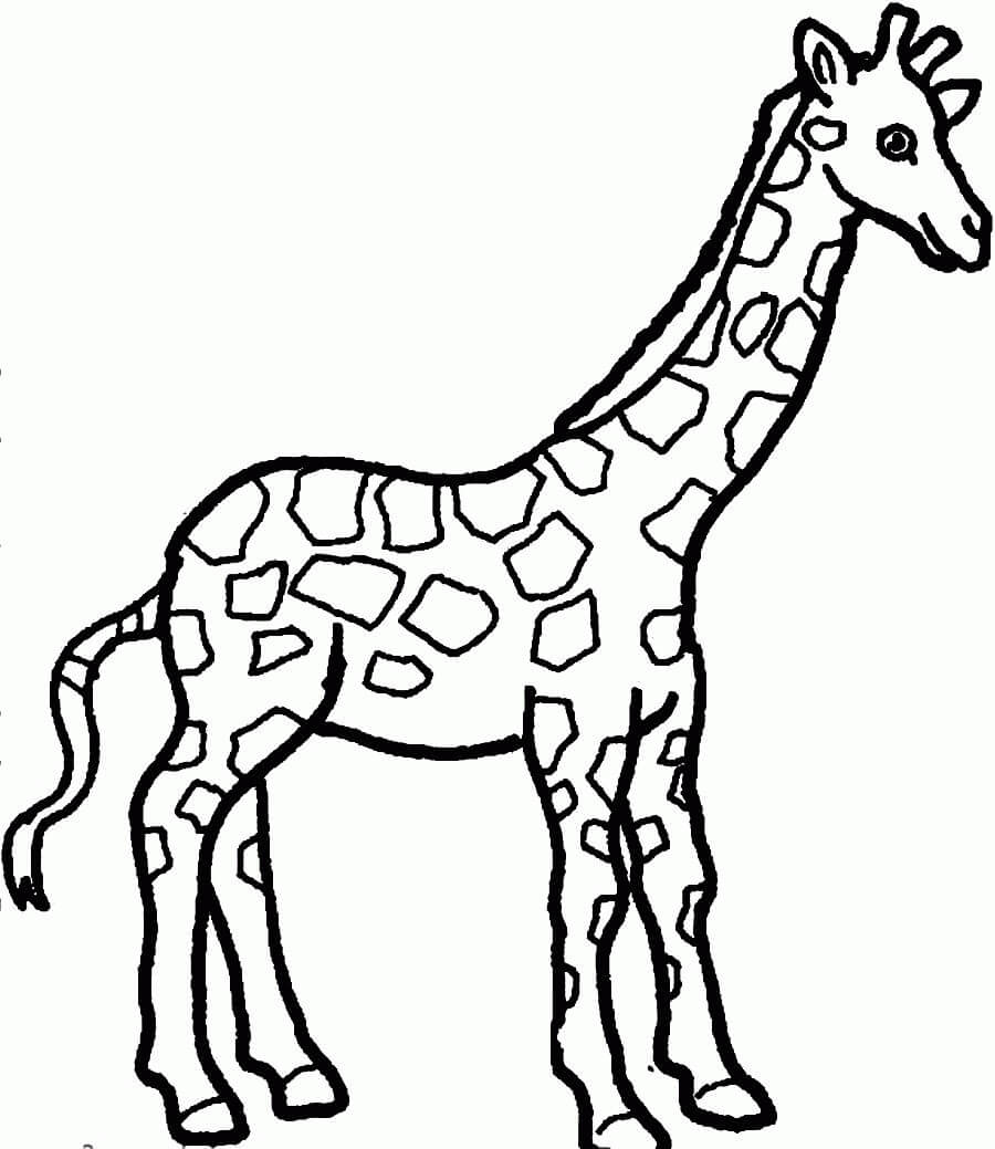 Dibujo de Linda Jirafa 2 para Colorear
