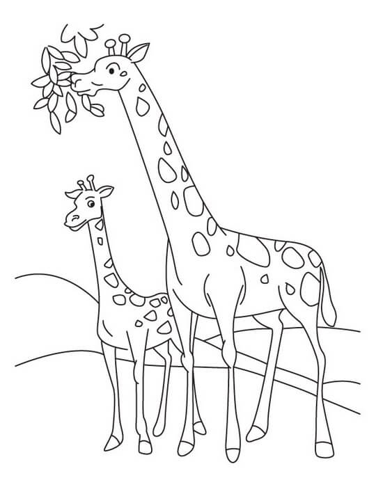 Dibujo de Madre Jirafa Comiendo con bebé Jirafa para Colorear