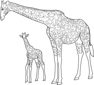 Dibujo de Madre Jirafa con bebé Jirafa para Colorear