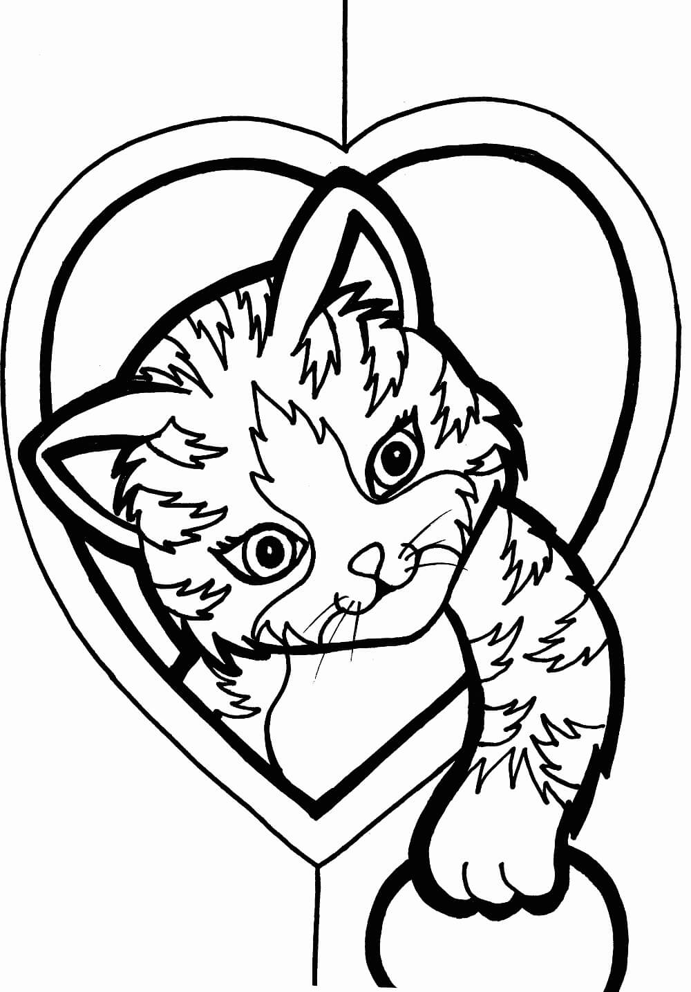 Dibujo de Gato básico Kawaii para Colorear